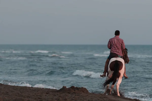 En modern man i sommarkläder njuter av att rida på en häst på en vacker sandstrand vid solnedgången. Selektiv inriktning — Stockfoto
