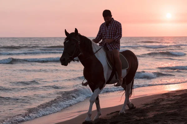 Un hombre moderno en ropa de verano disfruta montar a caballo en una hermosa playa de arena al atardecer. Enfoque selectivo — Foto de Stock