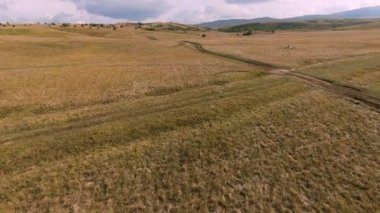 Vahşi at sürüsü bozkırda dört nala koşuyor. FPV İHA 'sı büyük bir hayvan grubunun üzerinde uçuyor. Günbatımı doğal manzara. Yavaş çekim hızlı uçuş.