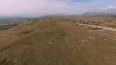 Vahşi at sürüsü bozkırda dört nala koşuyor. FPV İHA 'sı büyük bir hayvan grubunun üzerinde uçuyor. Günbatımı doğal manzara. Yavaş çekim hızlı uçuş.