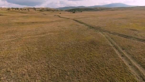 Una mandria di cavalli selvaggi galoppa veloce attraverso la steppa. Drone FPV aereo Volare su un grande gruppo di animali. Tramonto paesaggio naturale. Rallentatore volo basso veloce. — Video Stock