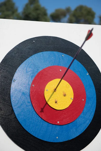 Arrow in the center of target for archery, closeup — Stock Photo, Image