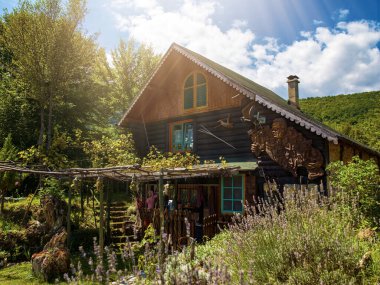 Ormanda geleneksel ahşap kır evi. Bahçesi ve renkli bitkileri var. Sanatsal heykeller.