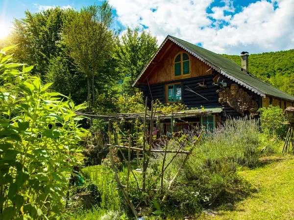 Casetta Legno Tradizionale Naturale Nella Foresta Con Giardino Erbe Colorate — Foto Stock