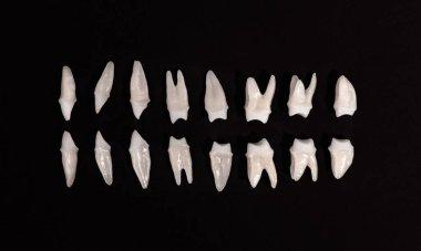 Siyah arka planda protez dişler Ağız hijyeni diş sağlığı konsepti Ağız bakımı diş restorasyonu üst görünümü. Merhaba kaliteli fotokopi alanı fotoğrafı.