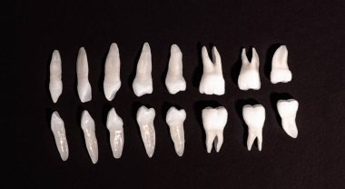Siyah arka planda protez dişler Ağız hijyeni diş sağlığı konsepti Ağız bakımı diş restorasyonu üst görünümü. Merhaba kaliteli fotokopi alanı fotoğrafı.