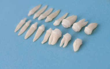 Mavi arka planda protez dişler Ağız hijyeni diş sağlığı konsepti Ağız bakımı diş yenileme üst görünümü. Merhaba kaliteli fotokopi alanı fotoğrafı.