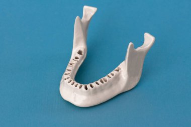 Diş modelsiz üst insan çenesi mavi arka planda izole edilmiş tıbbi implant. Sağlıklı dişler, diş bakımı ve ortodontik konsept. Merhaba kaliteli kopyalama alanı.