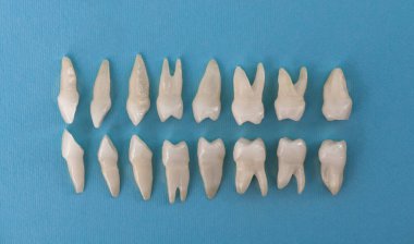 Mavi arka planda protez dişler Ağız hijyeni diş sağlığı konsepti Ağız bakımı diş yenileme üst görünümü. Merhaba kaliteli fotokopi alanı fotoğrafı.