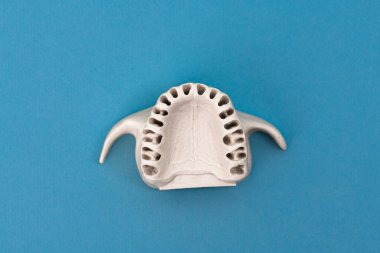 Diş modelsiz üst insan çenesi mavi arka planda izole edilmiş tıbbi implant. Sağlıklı dişler, diş bakımı ve ortodontik konsept. Merhaba kaliteli kopyalama alanı.
