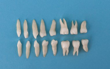 Mavi arka planda protez dişler Ağız hijyeni diş sağlığı konsepti Ağız bakımı diş yenileme üst görünümü. Merhaba kaliteli fotokopi alanı fotoğrafı.