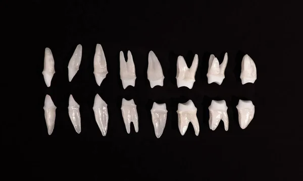 Odontologia Protética Dentes Brancos Sobre Fundo Preto Higiene Dental Oral — Fotografia de Stock