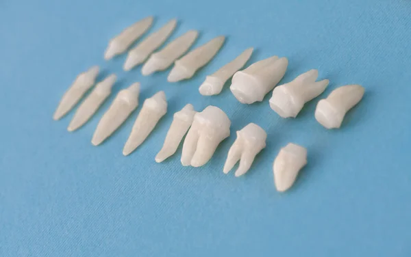 Протезирующая Стоматология Белые Зубы Синем Фоне Концепция Гигиены Полости Рта — стоковое фото