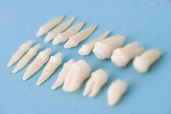 Odontología Protésica Dientes Blancos Sobre Fondo Azul Higiene Dental Oral — Foto de Stock