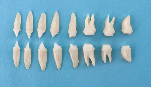 Odontología Protésica Dientes Blancos Sobre Fondo Azul Higiene Dental Oral —  Fotos de Stock