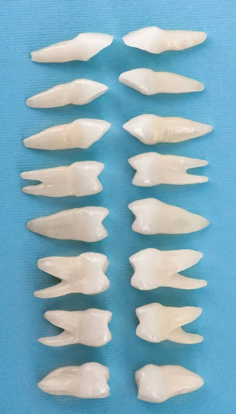 Протезирующая Стоматология Белые Зубы Синем Фоне Концепция Гигиены Полости Рта — стоковое фото
