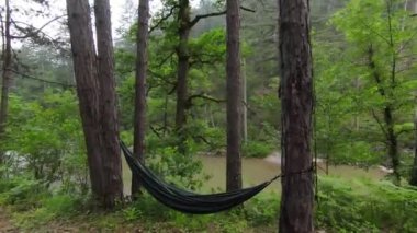 Çam ağacı ormanında sisli ve bulutlu bir sabahta nehir kamp alanında boş bir hamak. Rahatlama ve tatil zamanı konsepti. Yüksek kalite 4k görüntü