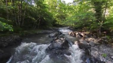 Tochigi Bölgesi, Japonya 'daki temiz ve ferahlatıcı bir nehrin havadan görünüşü. Sağa dönüyor. - Evet. Yüksek kalite 4k görüntü