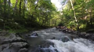 Tochigi Bölgesi, Japonya 'daki temiz ve ferahlatıcı bir nehrin havadan görünüşü. Sağa dönüyor. - Evet. Yüksek kalite 4k görüntü