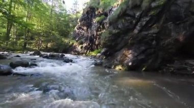 Tochigi Bölgesi, Japonya 'daki temiz ve ferahlatıcı bir nehrin havadan görünüşü. Sağa dönüyor. - Evet. Yüksek kalite 4k görüntü