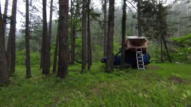 Ett Biltak Tält För Camping Takräcket Road Bil Skog Dimmig — Stockvideo