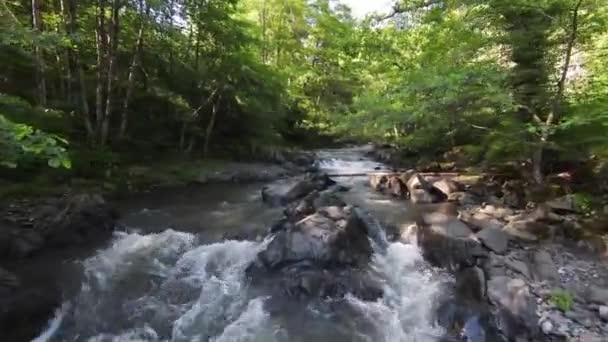 Veduta Aerea Fiume Pulito Rinfrescante Una Foresta Prefettura Tochigi Giappone — Video Stock