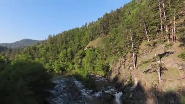 Veduta Aerea Fiume Pulito Rinfrescante Una Foresta Prefettura Tochigi Giappone — Video Stock