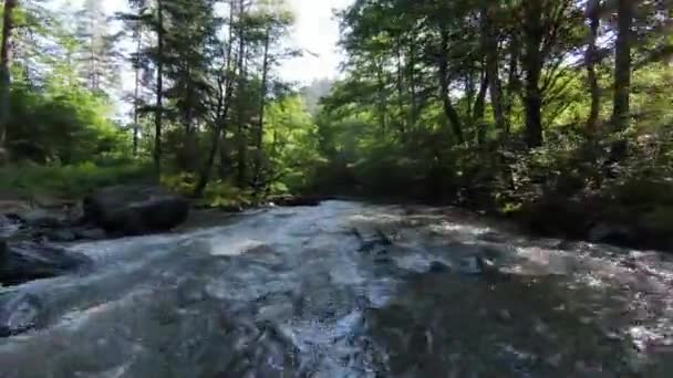 Veduta Aerea Fiume Pulito Rinfrescante Una Foresta Prefettura Tochigi Giappone — Video Stock