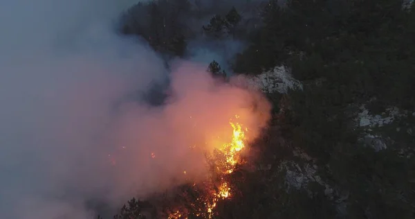 Aerial panoramic view of a forest fire at night, heavy smoke causes air pollution, and fire in full blaze. Natural disaster epic drone cinematic shot. Hi quality 4k footage.