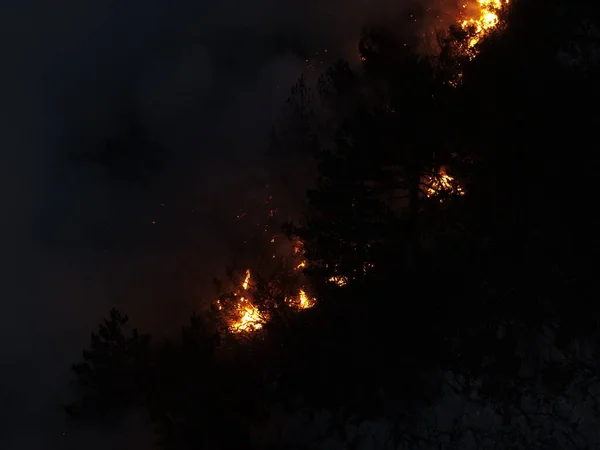 Aerial Panoramic View Forest Fire Night Heavy Smoke Causes Air — Foto de Stock