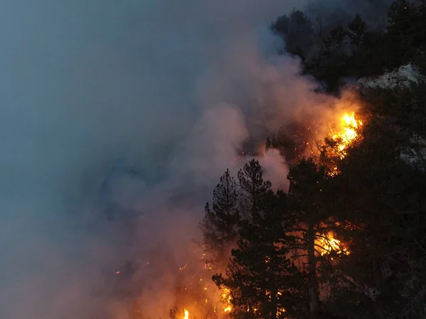 Aerial panoramic view of a forest fire at night, heavy smoke causes air pollution, and fire in full blaze. Natural disaster epic drone cinematic shot. Hi quality 4k footage.