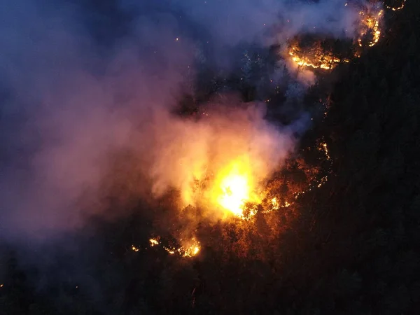 Aerial panoramic view of a forest fire at night, heavy smoke causes air pollution, and fire in full blaze. Natural disaster epic drone cinematic shot. Hi quality 4k footage.