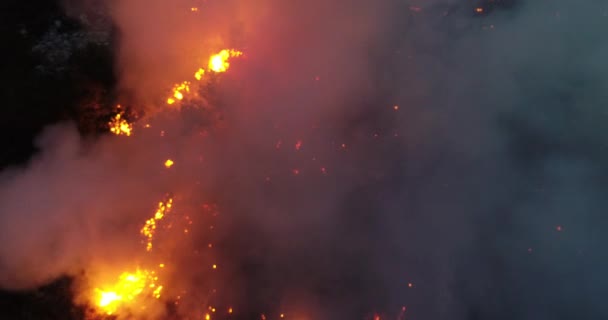 Aerial Panoramic View Forest Fire Night Heavy Smoke Causes Air — Vídeo de stock