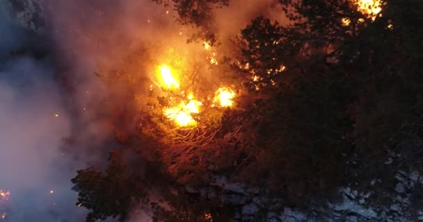 Luchtfoto Panoramisch Uitzicht Een Bosbrand Nachts Zware Rook Veroorzaakt Luchtvervuiling — Stockvideo