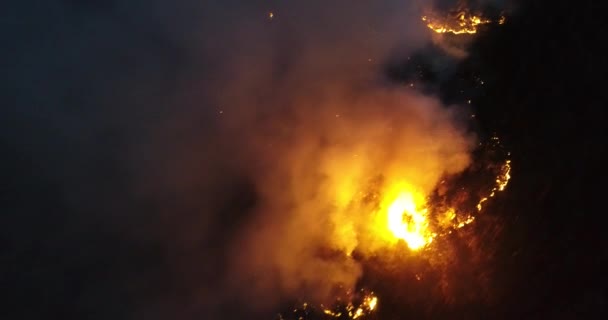 Luchtfoto Panoramisch Uitzicht Een Bosbrand Nachts Zware Rook Veroorzaakt Luchtvervuiling — Stockvideo