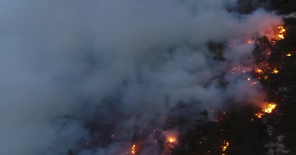 Aerial Panoramic View Forest Fire Night Heavy Smoke Causes Air — Video Stock