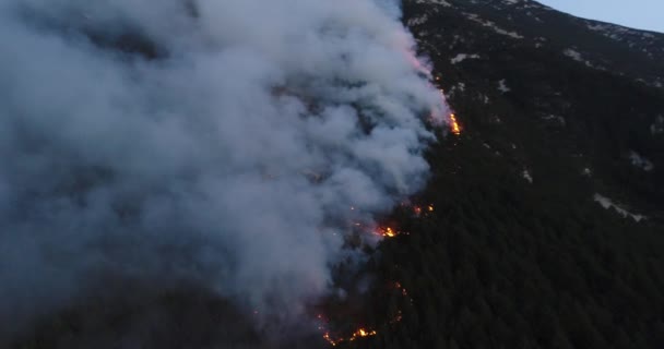 Aerial Panoramic View Forest Fire Night Heavy Smoke Causes Air — Wideo stockowe