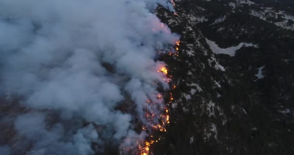 Luchtfoto Panoramisch Uitzicht Een Bosbrand Nachts Zware Rook Veroorzaakt Luchtvervuiling — Stockvideo