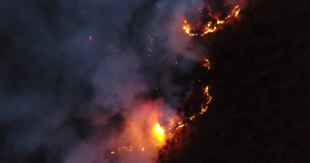 Aerial Panoramic View Forest Fire Night Heavy Smoke Causes Air — Wideo stockowe