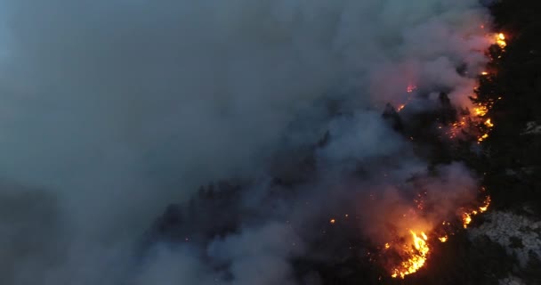 Aerial Panoramic View Forest Fire Night Heavy Smoke Causes Air — Wideo stockowe