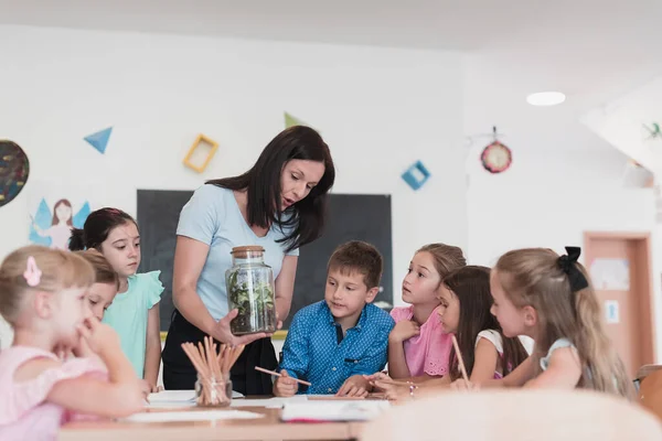 Female Teacher Kids Biology Class Elementary School Conducting Biology Botanical — 图库照片