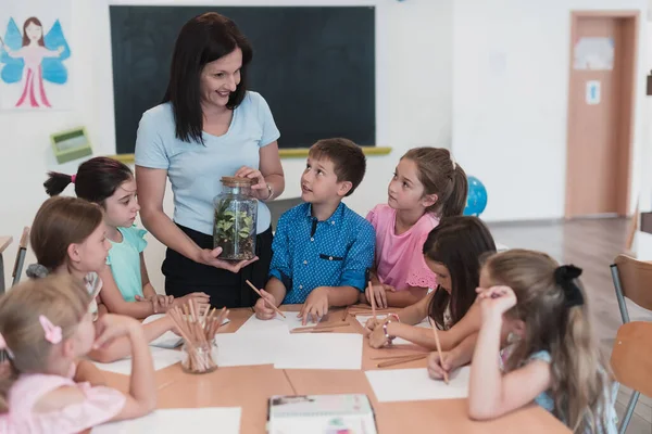 Female Teacher Kids Biology Class Elementary School Conducting Biology Botanical — Stock Fotó