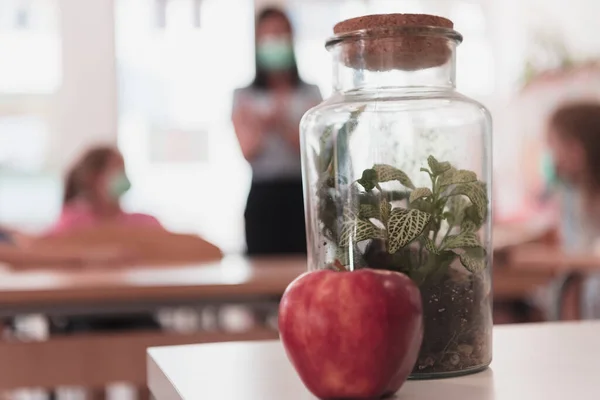 Biology and biochemistry classes. A close-up photo of a bottle containing a green plant and a ripe apple next to the bottle. High quality photo