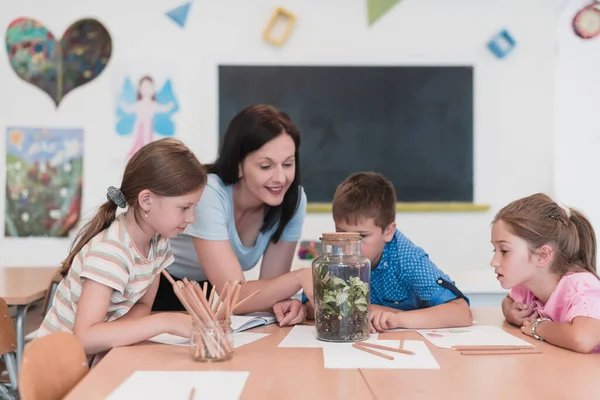 Female Teacher Kids Biology Class Elementary School Conducting Biology Botanical — Stockfoto