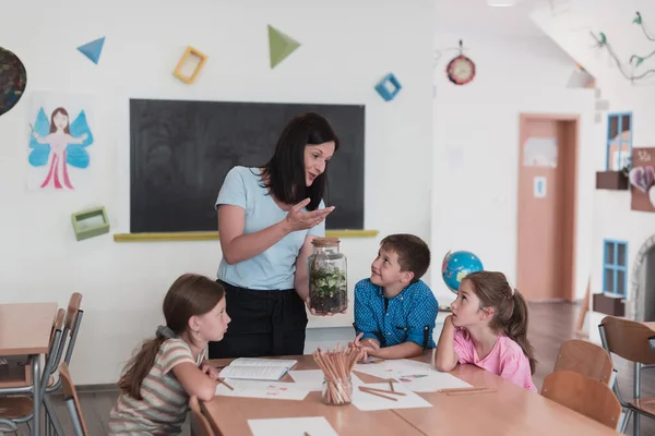 Vrouwelijke Leraar Met Kinderen Biologieles Basisschool Die Biologie Botanisch Wetenschappelijk — Stockfoto