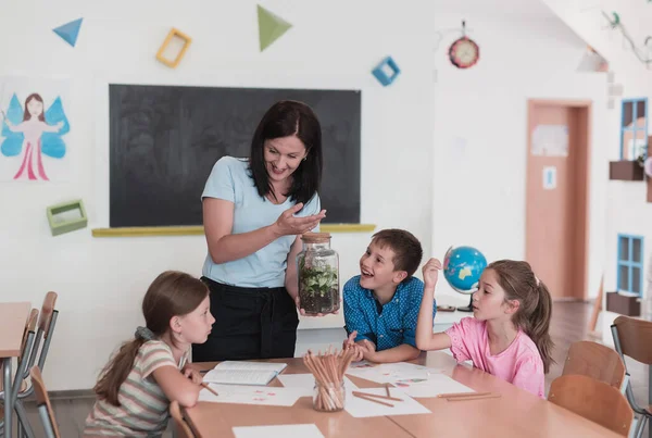 Female Teacher with kids in biology class at elementary school conducting biology or botanical scientific experiment about sustainable Growing plants. Learning about plants in a glass jar. High