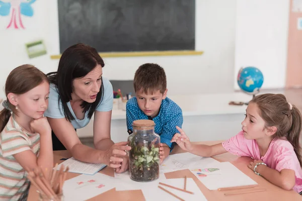 Female Teacher with kids in biology class at elementary school conducting biology or botanical scientific experiment about sustainable Growing plants. Learning about plants in a glass jar. High