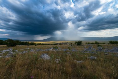 Panoramic view of idyllic mountain scenery with fresh green meadows in bloom on a beautiful sunny day in springtime, Rainfall in the distance, High quality photo