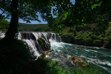 a magnificent waterfall called strbacki buk on the beautifully clean and drinking Una river in Bosnia and Herzegovina in the middle of a forest. High quality photo