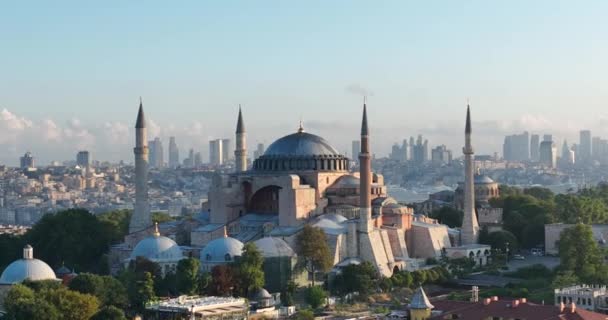 Istanbul Turkey Sultanahmet Area Blue Mosque Hagia Sophia Golden Horn — 비디오